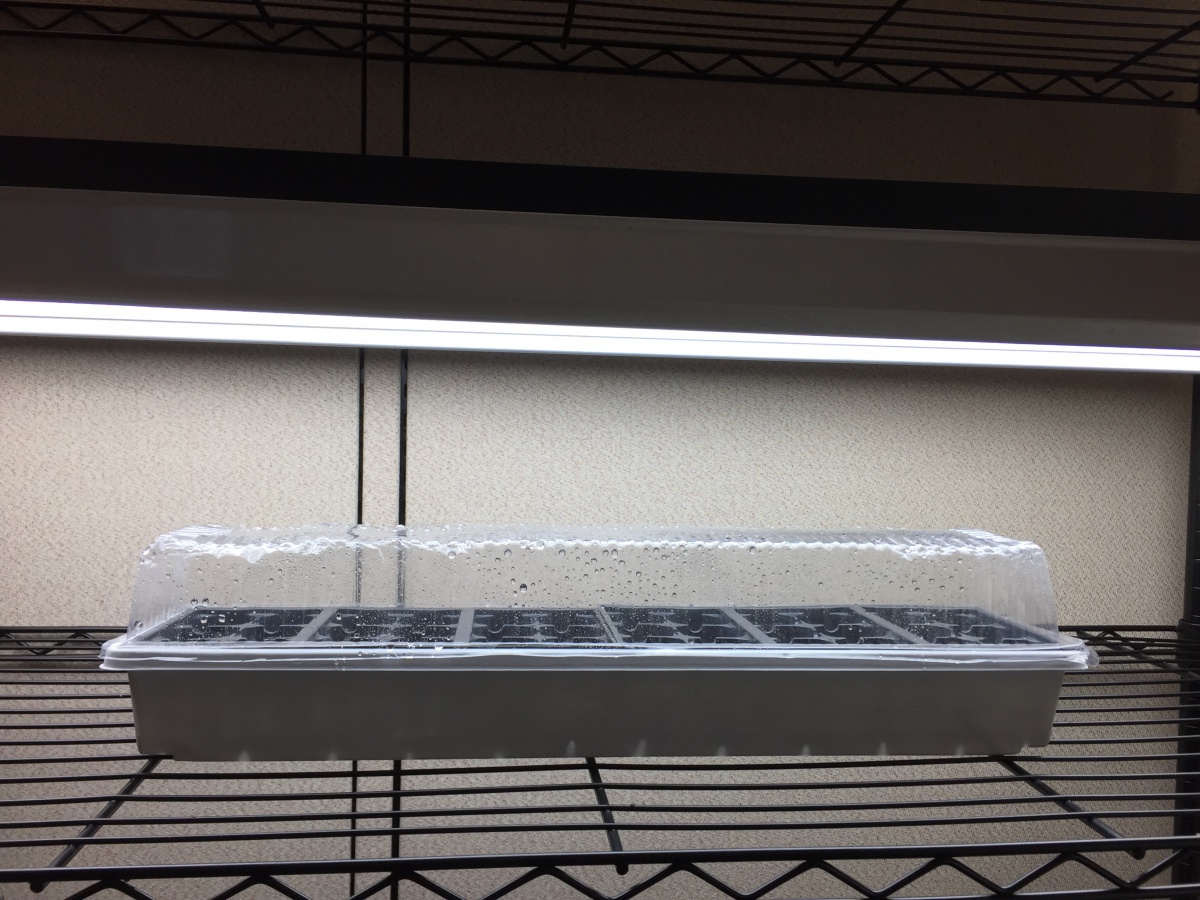 Starting Plants From Seed [fact sheet] Extension